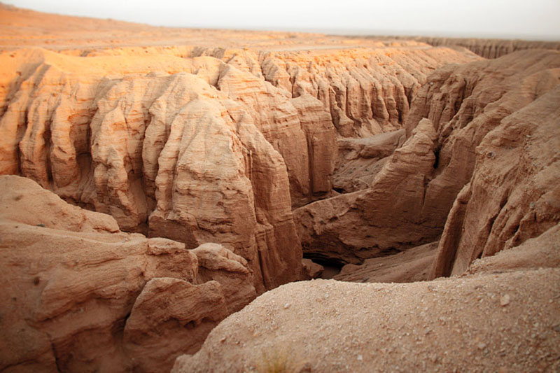 کال جنی طبس